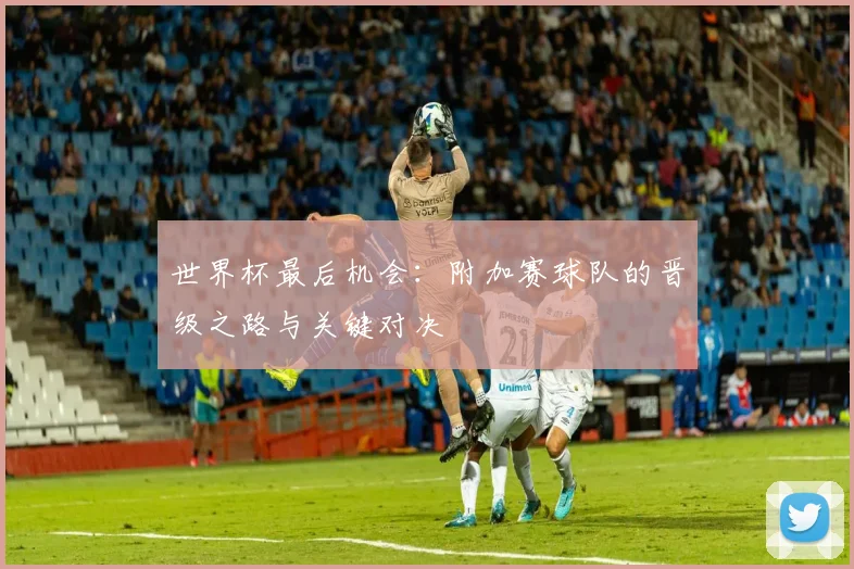 世界杯最后机会：附加赛球队的晋级之路与关键对决